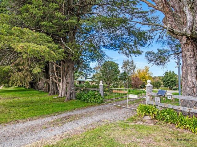Fowler's Little Forest Space, Privacy and So Much More!