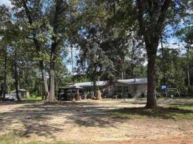 Fox Branch Dr