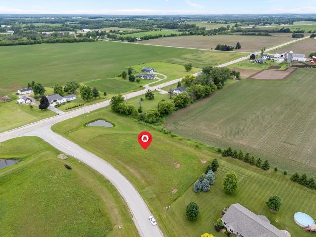 Fox view drive