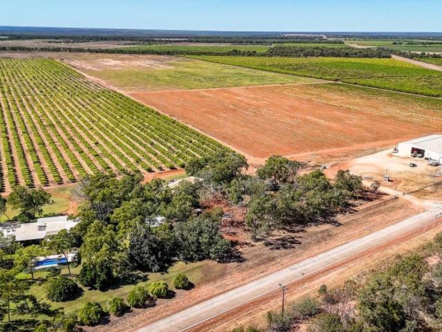 FOXALICIOUS Organic Mango and Asparagus Farm