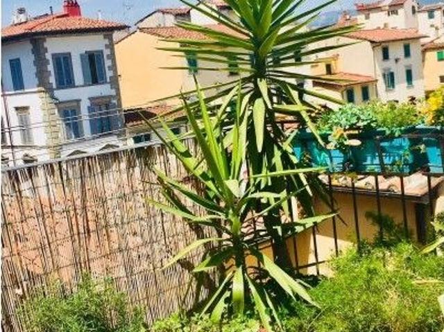 florence, Tuscany 50122