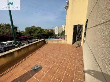 Palmeral de las Sorpresas, Casco Antiguo de Málaga, Málaga, Málaga, Andalucía, Andalucía