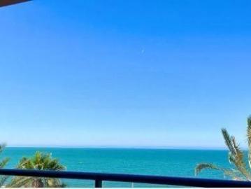 Palmeral de las Sorpresas, Casco Antiguo de Málaga, Málaga, Málaga, Andalucía, Andalucía
