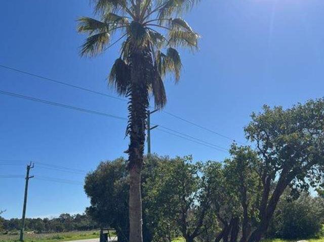 Flat Dry Rural Land portion to lease in Baldivis