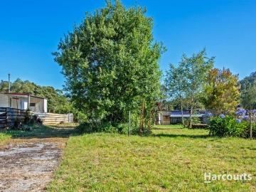 Rosebery, West Coast, Mount McCutcheon