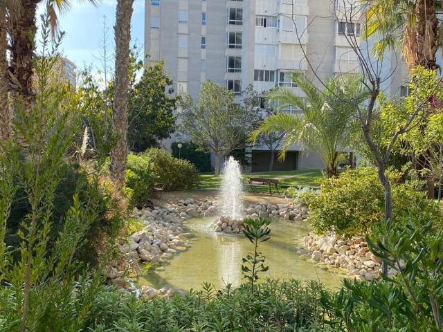 Flat for rent in Playa de San Juan, Alicante / Alacant city, Alicante