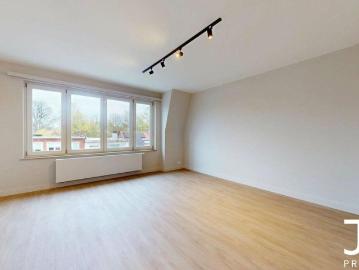 1950, Crainhem, Hal-Vilvorde, Flandre