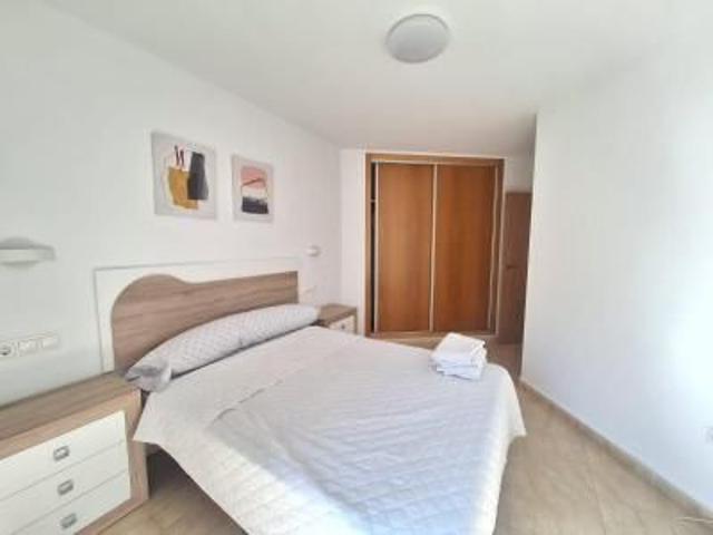 Flat JAVALI VIEJO Javalí Viejo