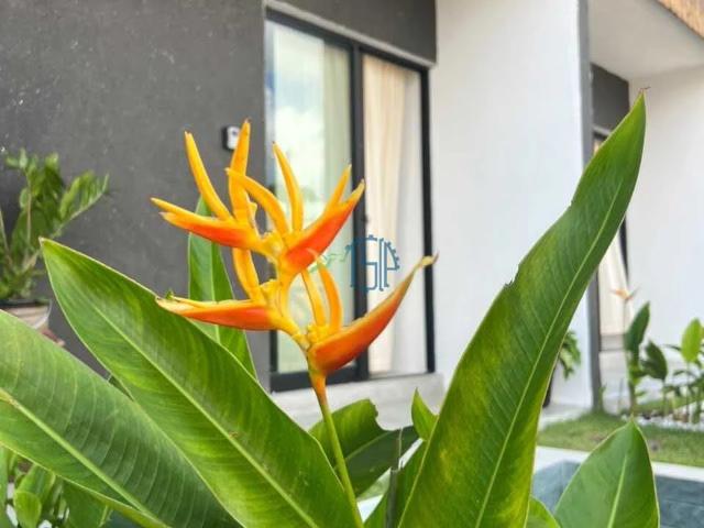 Flat para Venda em Tibau do Sul/RN Centro 1 Quartos
