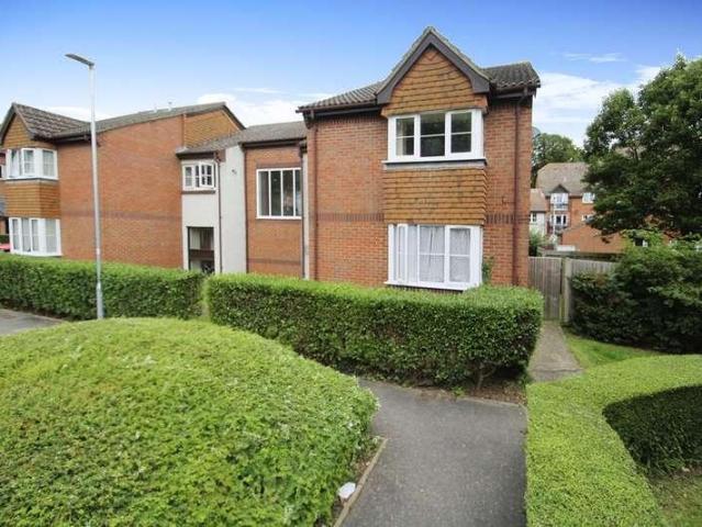 flat to rent