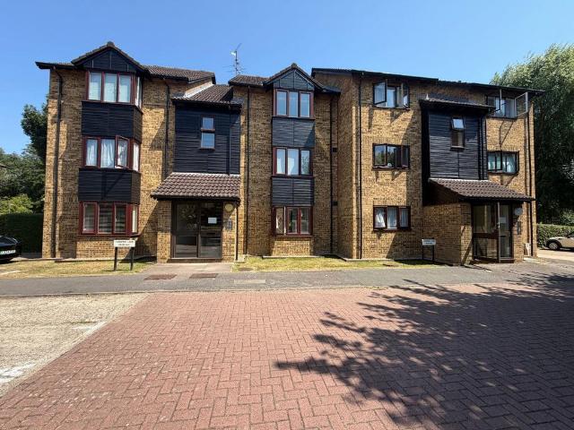 Flat to rent