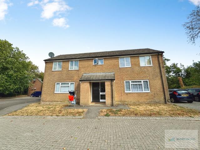 Flat To Rent
