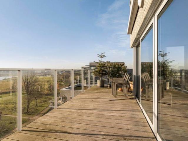Flat to rent: Aalscholverlaan 78 802, 2050 Antwerp on Realo