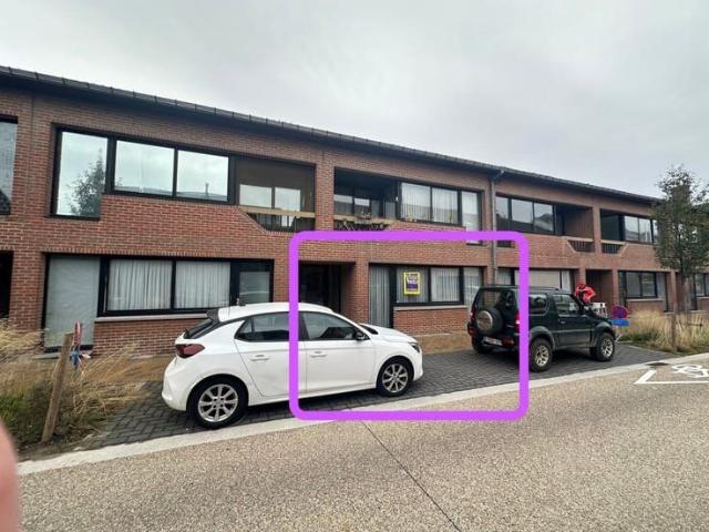 Flat to rent: Bloemenstraat 31 5, 3830 Wellen on Realo