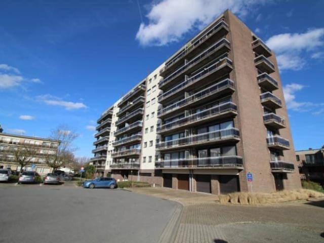 Flat to rent: De dammenlaan 188 21, 9200 Dendermonde on Realo