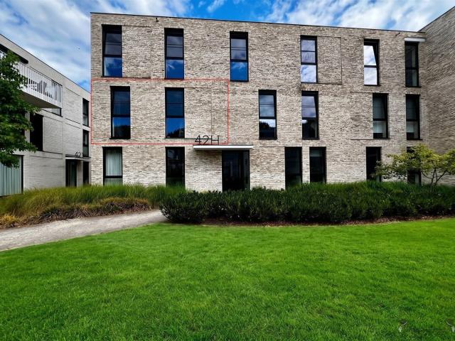 Flat to rent: Kapellestraat 42H 011, 9220 Hamme on Realo