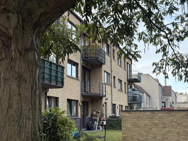 Flat to rent: Jan van obberghenstraat 50 2, 1830 Machelen on Realo