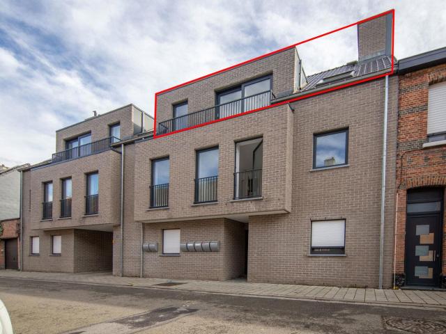 Flat to rent: Sterrelaan 20 7, 2620 Hemiksem on Realo