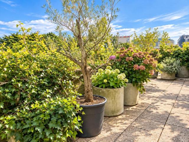 Flat to rent: Renier Chalon, 1050 Ixelles Elsene on Realo