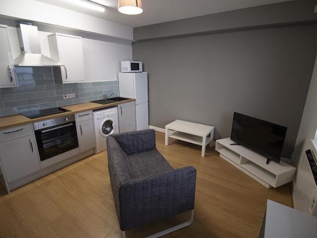 Flat 2, 247 Mansfield Road. Studio to rent £845 pcm £195 pw
