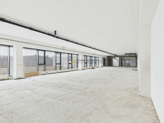 Flexible Eventlocation mit Mieterausbau Option im Riedmatt Center