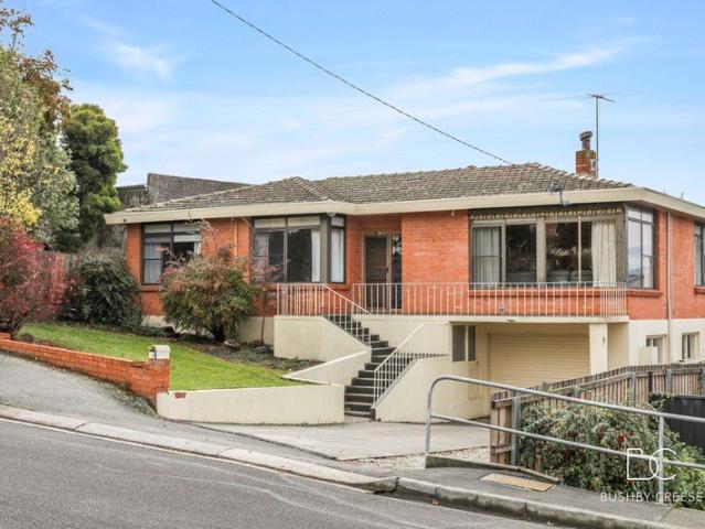 Flexible Family Living in Sought After Newstead