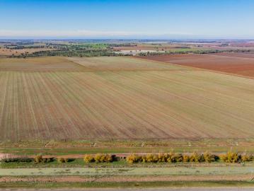Flexible Irrigation Block in the Heart of Coleambally