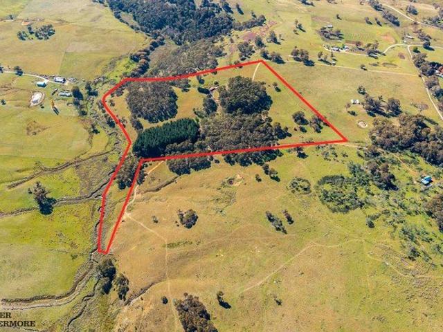 FROG HOLLOW 37 ACRES