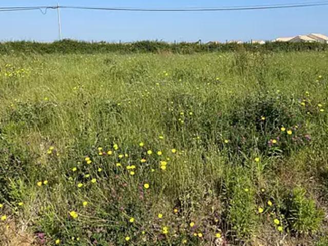 Froidfond 85300 Programme neuf maison neuf à vendre 4 pièces