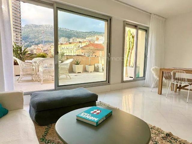 FRONTIERE MONACO GRAND DEUX PIECES AVEC TERRASSE
