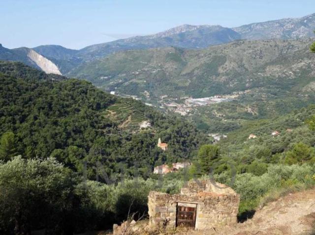 Frazione Verrandi 1 monolocale 3500mq