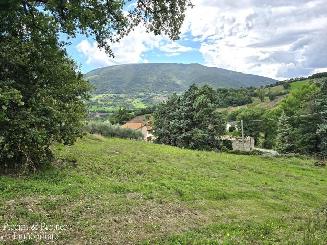Frazione Paradiso 16 vani 380mq