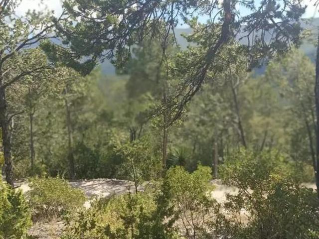 FRACCIONAMIENTO CAMPESTRE BOSQUE BOREAL