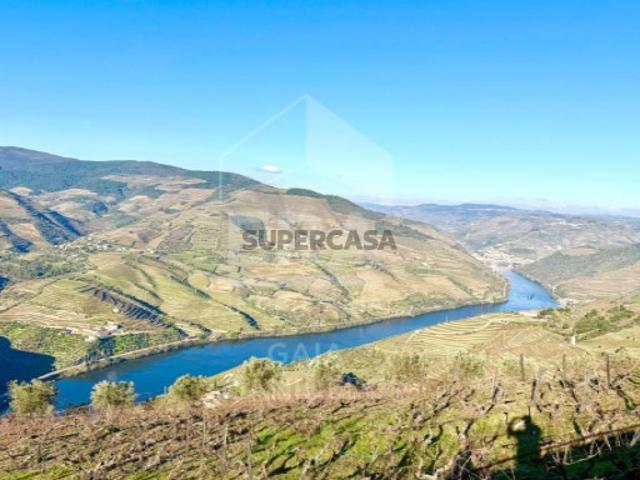 Fraga da Moira Propriedade Única no Douro