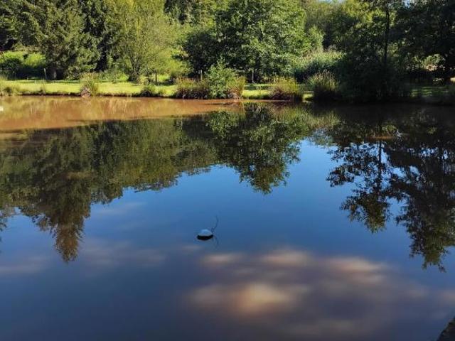 Frahier, au calme Etang dans un cadre verdoyant