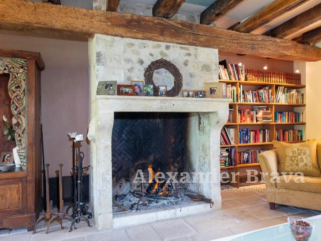 France: Domaine de la Porte — Exploitation touristique étab. 459m² Coulonges les Hérolles