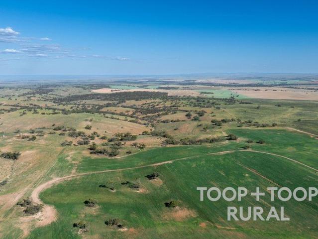 Frankton Mixed Farming Opportunity