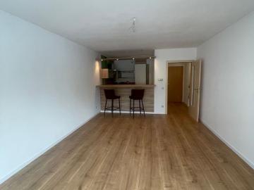 Zwickau, Ostthüringen, Thüringen - Garten