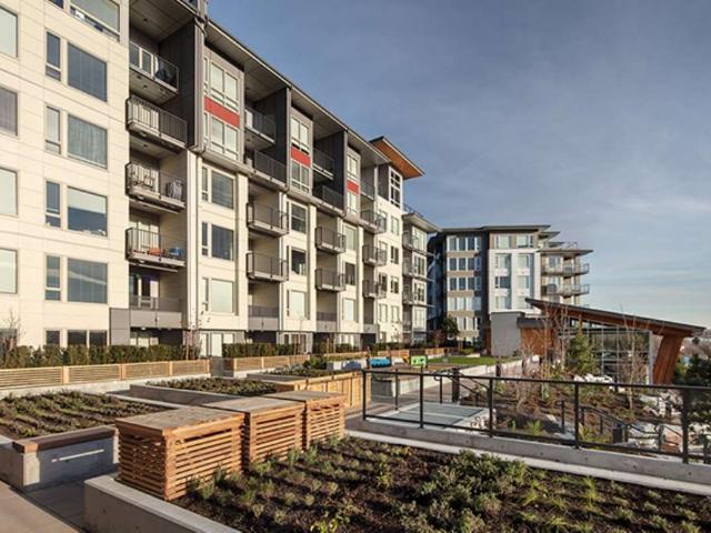 Fraser Flats Apartments — apartment/condo