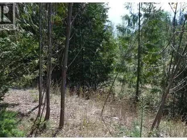 Fraser Road Lot# 59, Anglemont, BC, V0E 1M8 vacant land for.