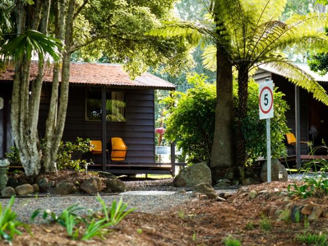New Price! Freehold Going Concern Holiday Park Opportunity at the Top of Dorrigo Mountain Waterfall Way