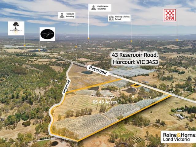 Freehold & Going Concern Premium Harcourt Apple Orchard with Equipments 65.43 Acres with Two Homes!