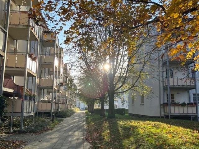 Frei ab dem 1.1.27 ! Moderne Whg. mit sonnigem Balkon am Heimgarten
