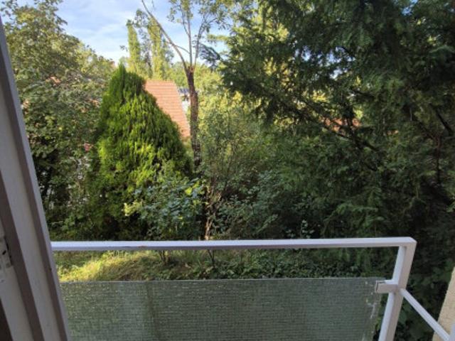 Freier mietzins! Ruhig gelegene 2 Zimmer Wohnung in der Nähe des Lainzer Tiergartens