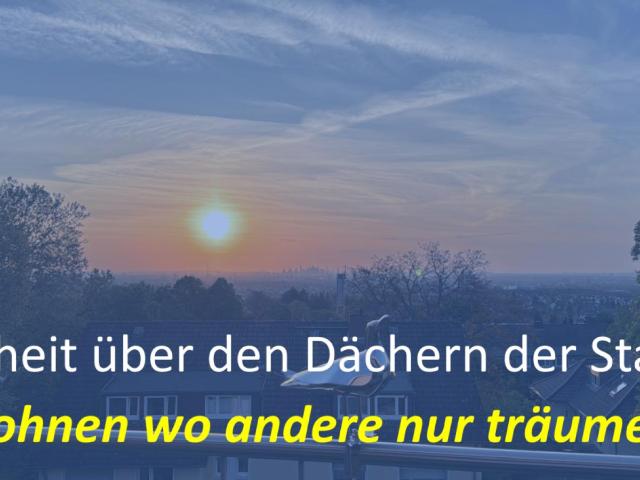 Freiheit über den Dächern der Stadt