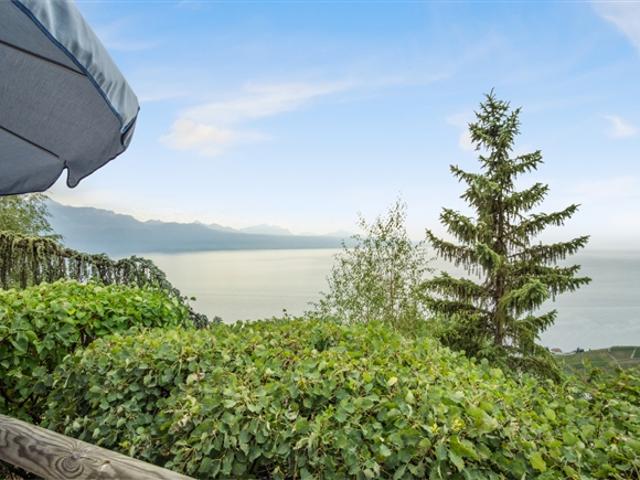 Freistehende Villa mit Panoramablick auf den Genfersee – Lavaux