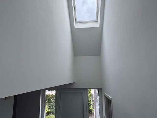 Freistehendes Architektenhaus vor den Toren Kölns: Gelungene Symbiose aus Natur & Urbanität