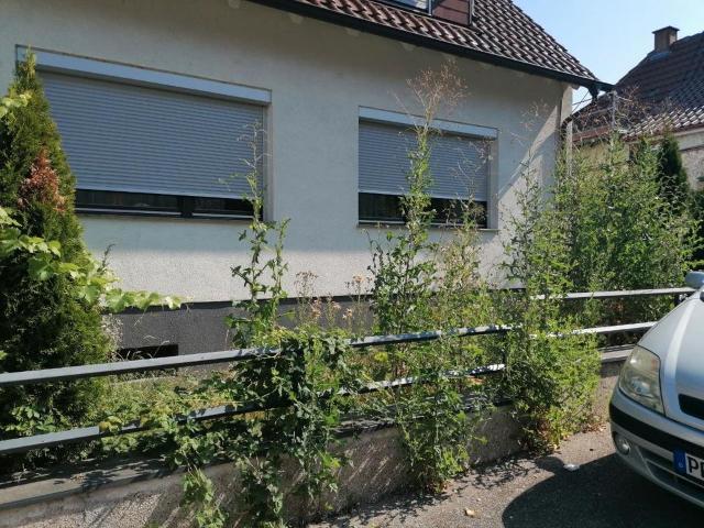 Freistehendes EFH mit Dach Einliegerwohnung