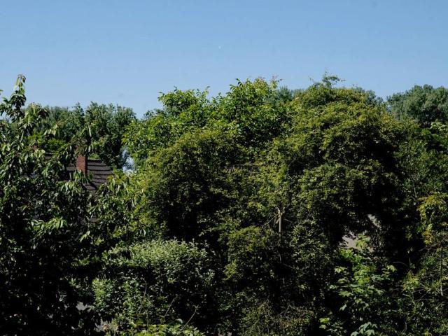 freistehendes Einfamilenhaus an der Urdenbacher Kempe