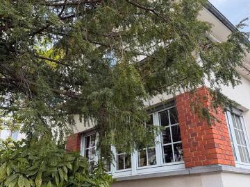 Freistehendes Einfamilienhaus in bester Lage in Neu Isenburg